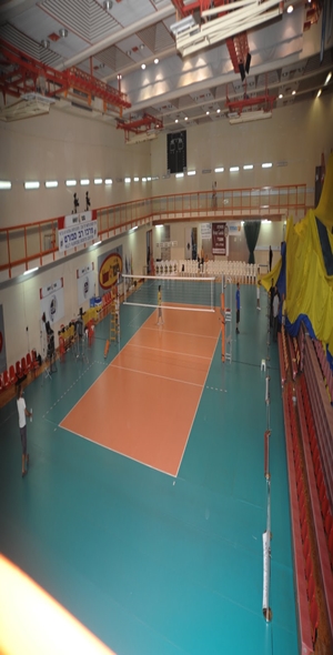 תמונת עסק Maccabi Tel Aviv Volleyball